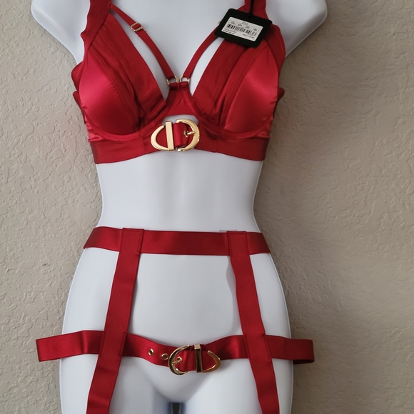 Honey Birdette Red Bra with Gold Accents - Picture 10 of 10